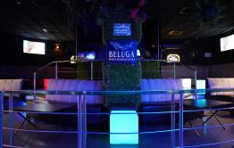 מועדון אירועים beam