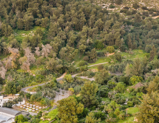 מיקום אירוע: 