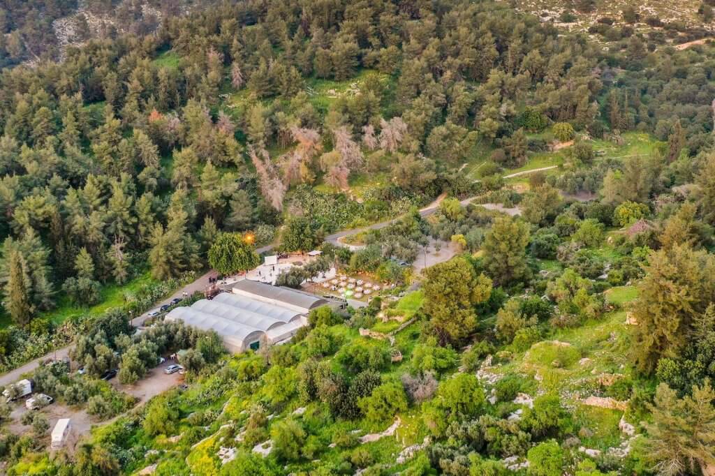 חתונה ביער- חתונה טבעית