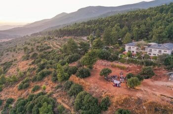 מה עדיף חתונה בגן או בטבע?