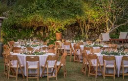 חתונה בטבע עיצוב