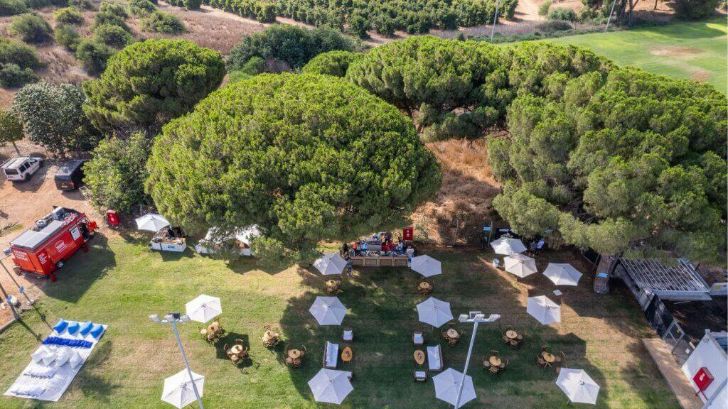 בריכה בשרון מדשאה מרכזית