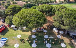 בריכה בשרון מדשאה מרכזית