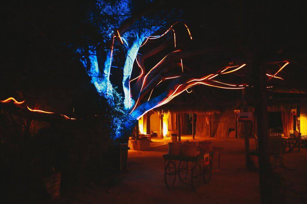 262044093_4832869156733305_1606156492502169153_n