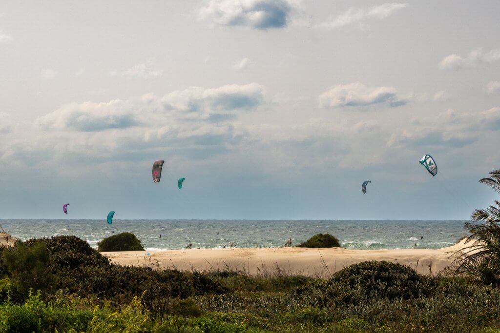 277231572_5127128117346012_1635876270685024444_n