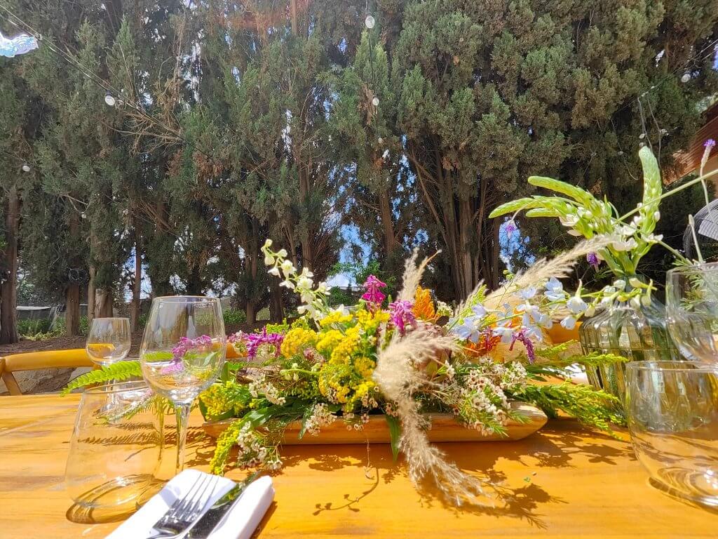 295361963_582365360191137_873544428742736245_n