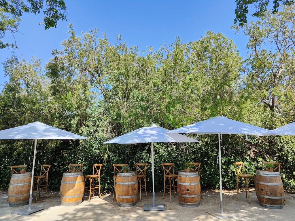 295465124_447979724007330_2894408685745236127_n (1)