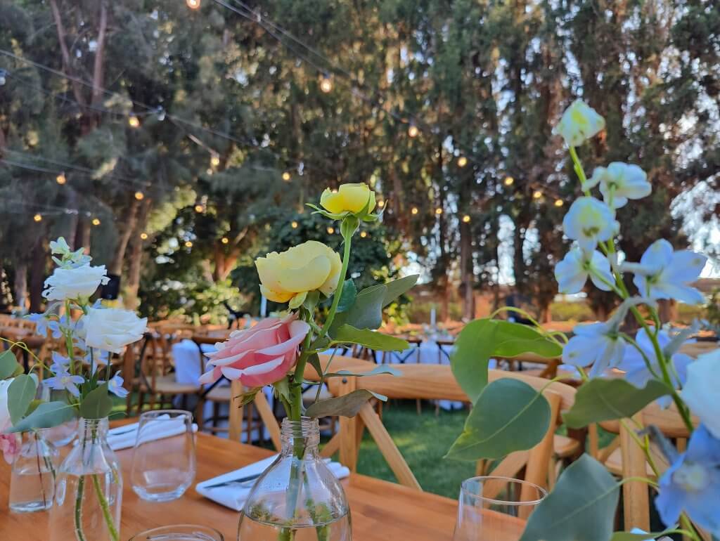 295520117_582398573521149_7101219586184958404_n