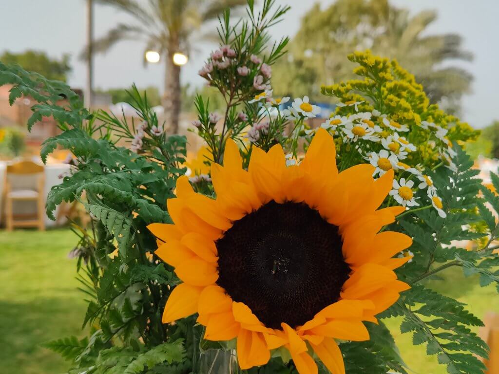 295531726_447990077339628_8056361739481866571_n