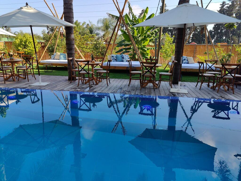 295536016_448008017337834_2803921013558223084_n