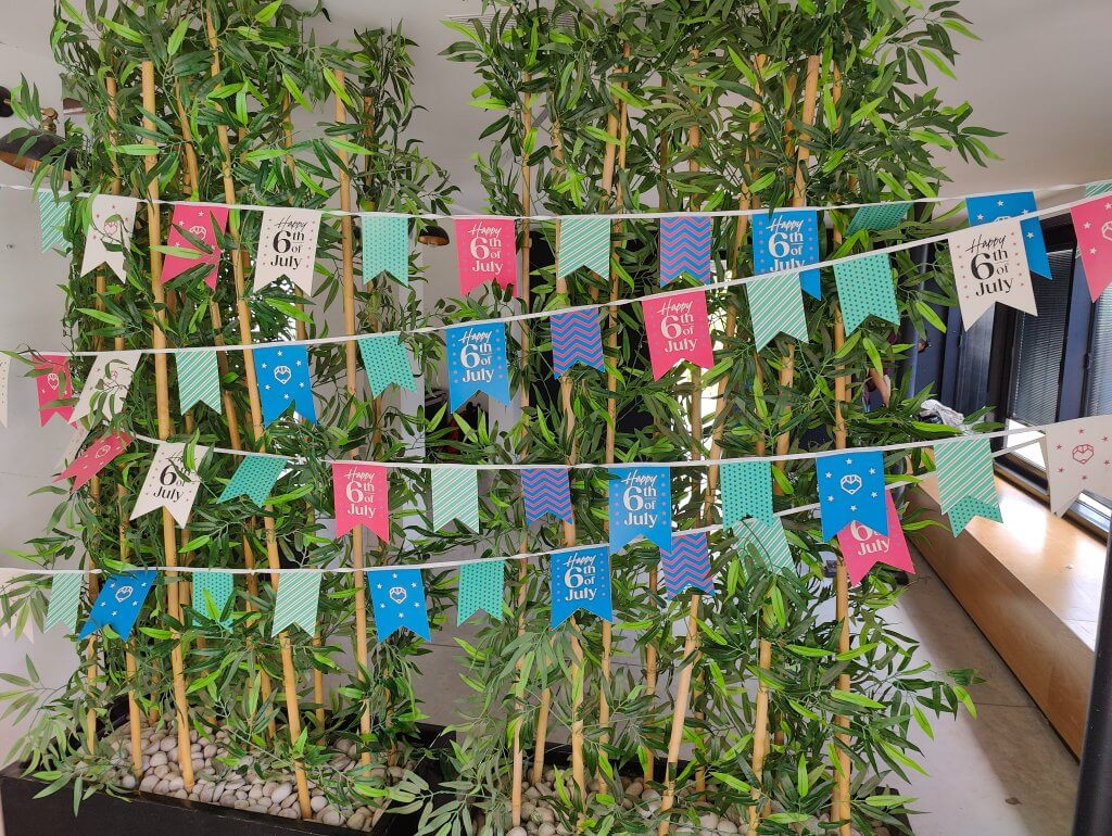 295537706_582394180188255_5024686003159837449_n