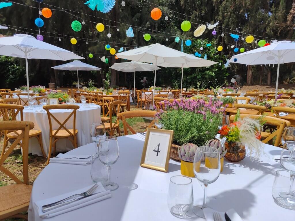 295553365_582363946857945_3876651757767014654_n