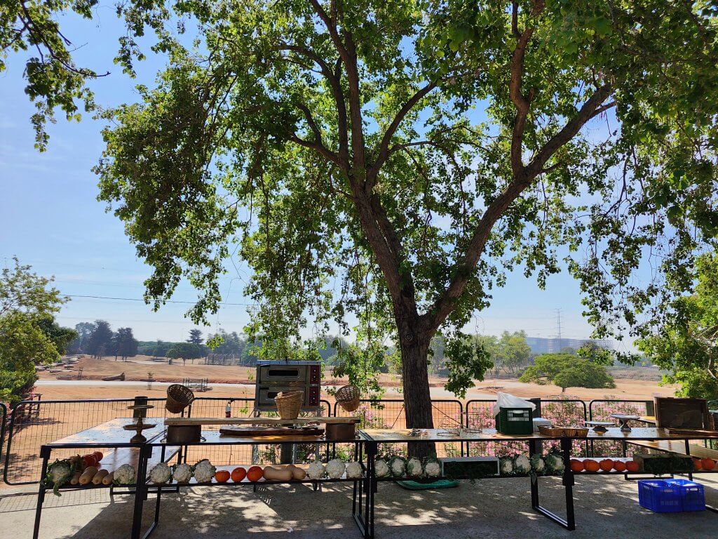 295566510_447979617340674_1858649205267687088_n