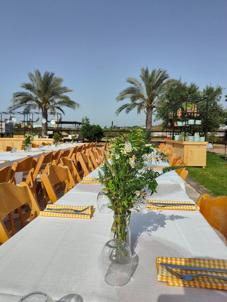 295567064_447989464006356_4071490759244638361_n