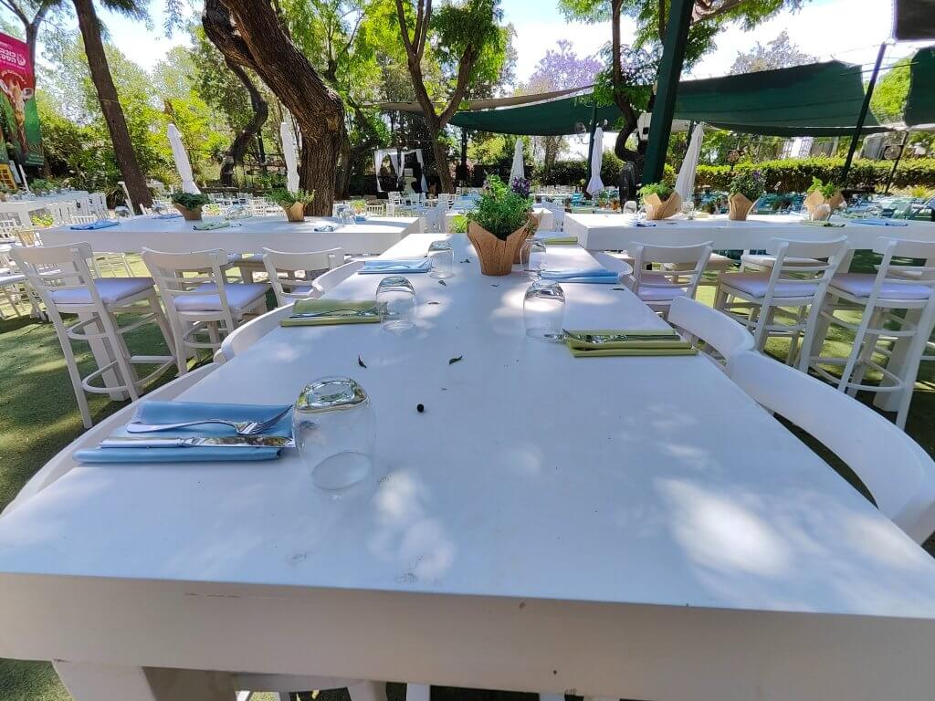 295590834_447979290674040_4686828996332071414_n