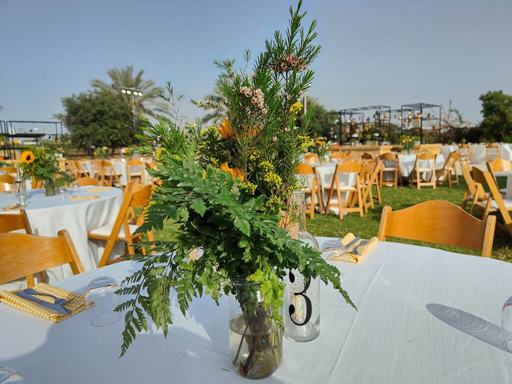 295598544_447989794006323_4944199302757328937_n