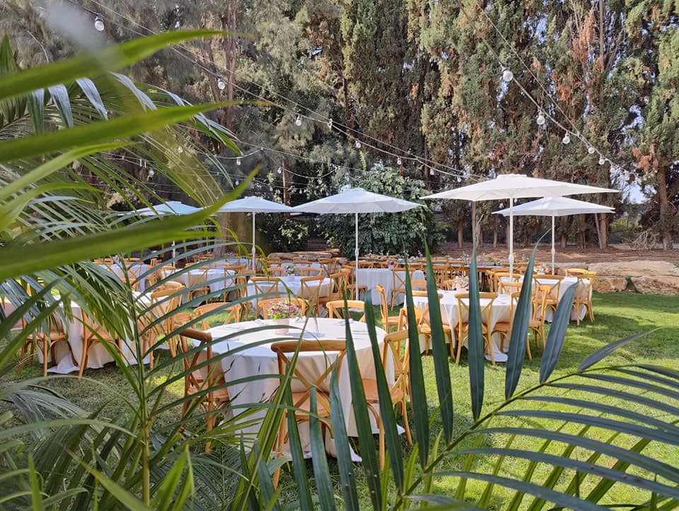 315565272_599764618711195_4160094650123351753_n