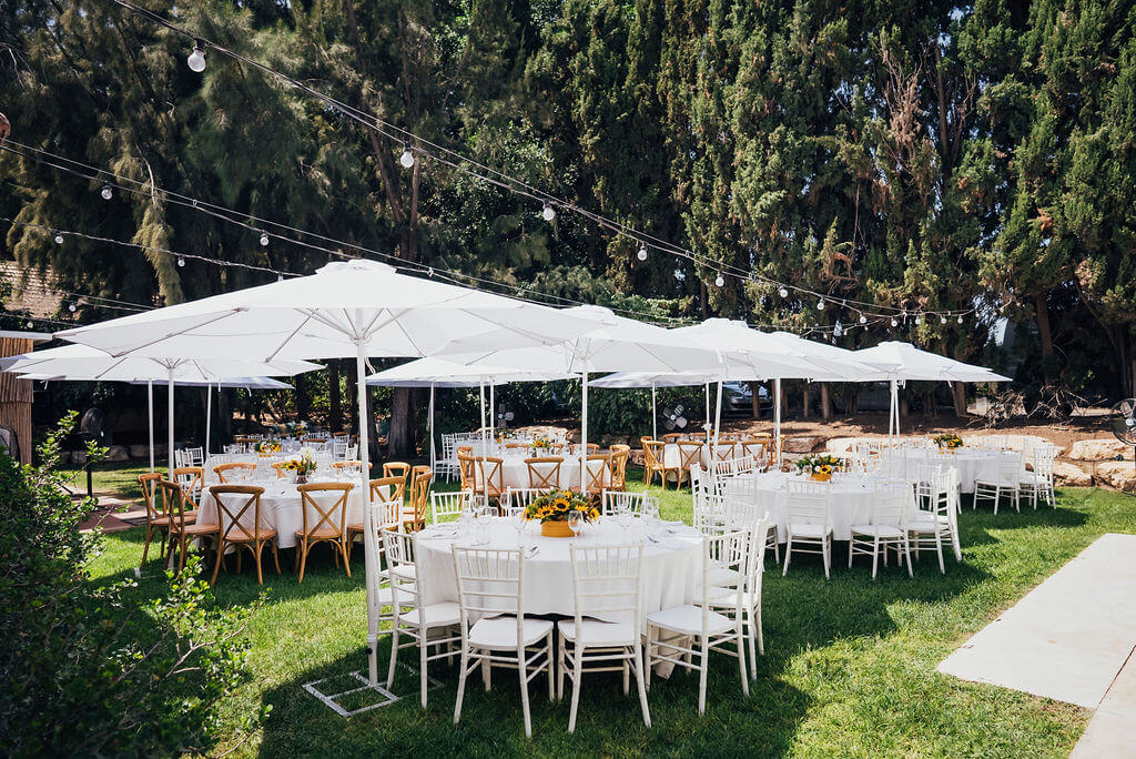 תכנון חתונה ב- 2024 - מדריך שאלות ותשובות